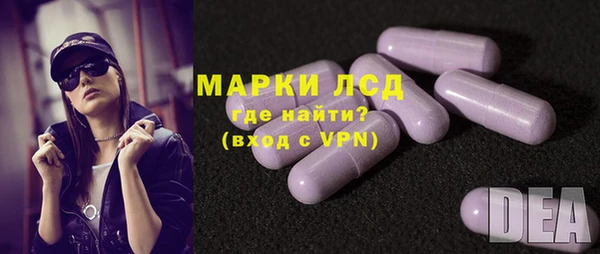 СК Бронницы