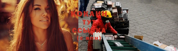 СК Бронницы