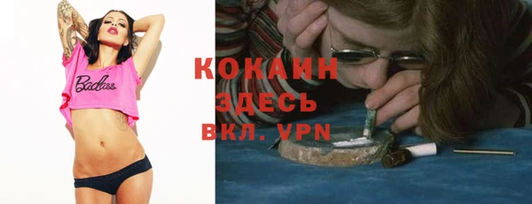 таблы Бородино