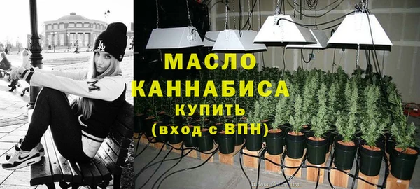 таблы Бородино