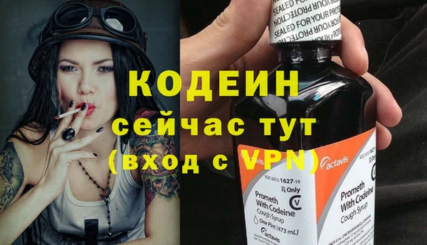 таблы Бородино