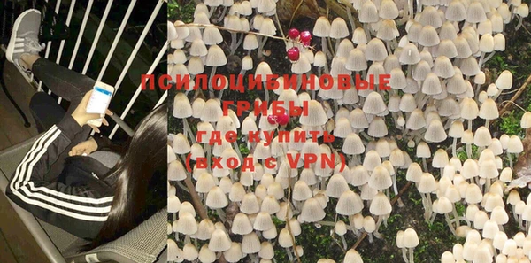 таблы Бородино